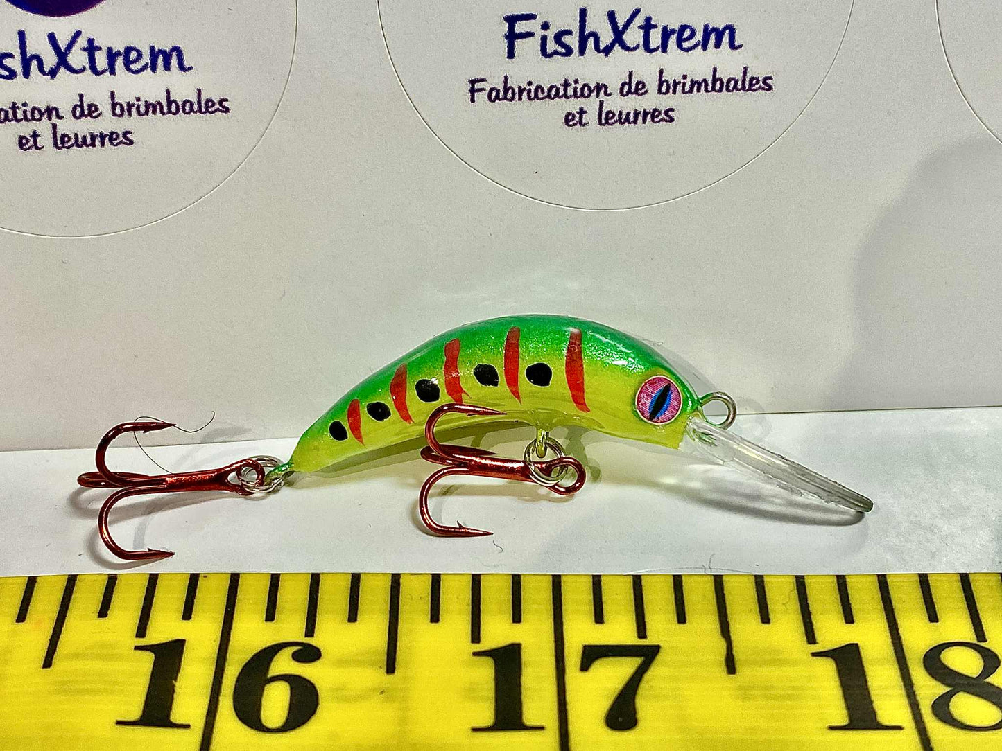 The Shrimp