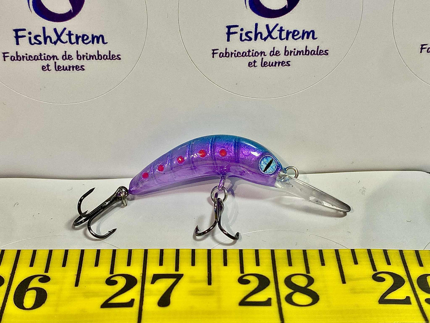 The Shrimp