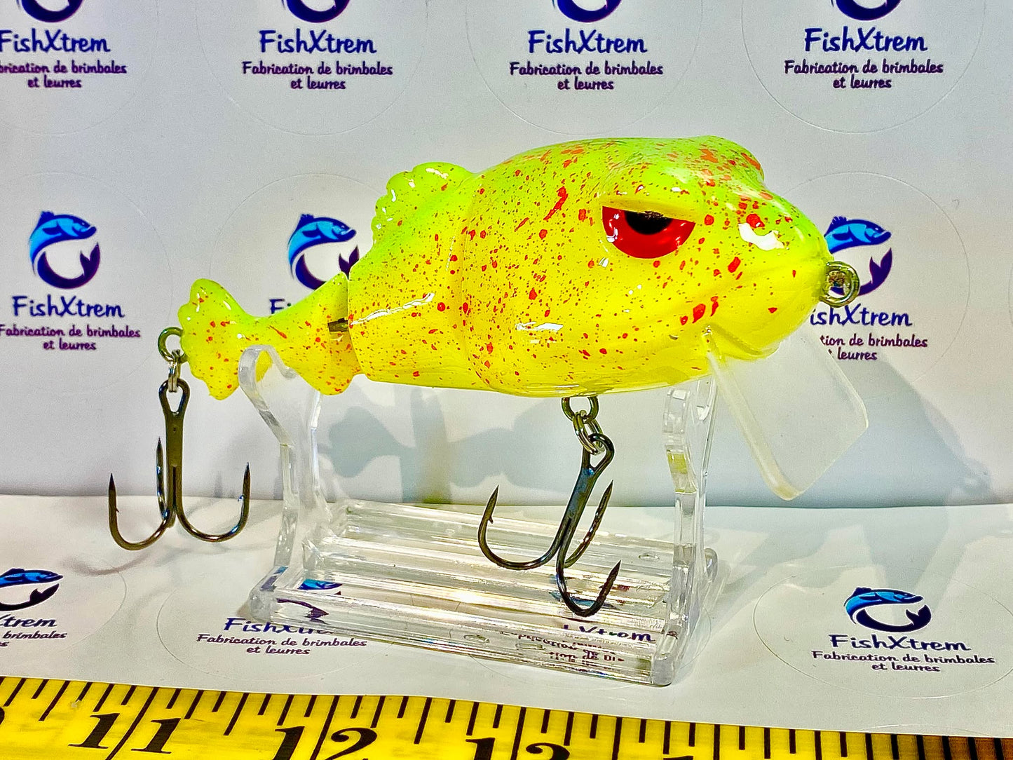 FrogFish