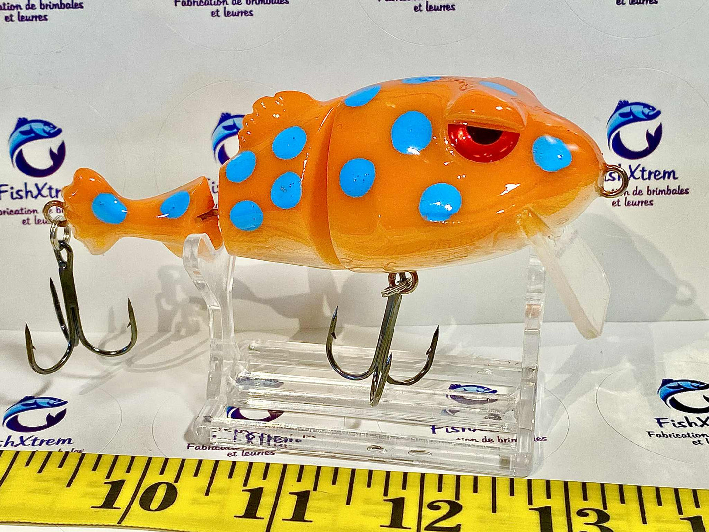 FrogFish
