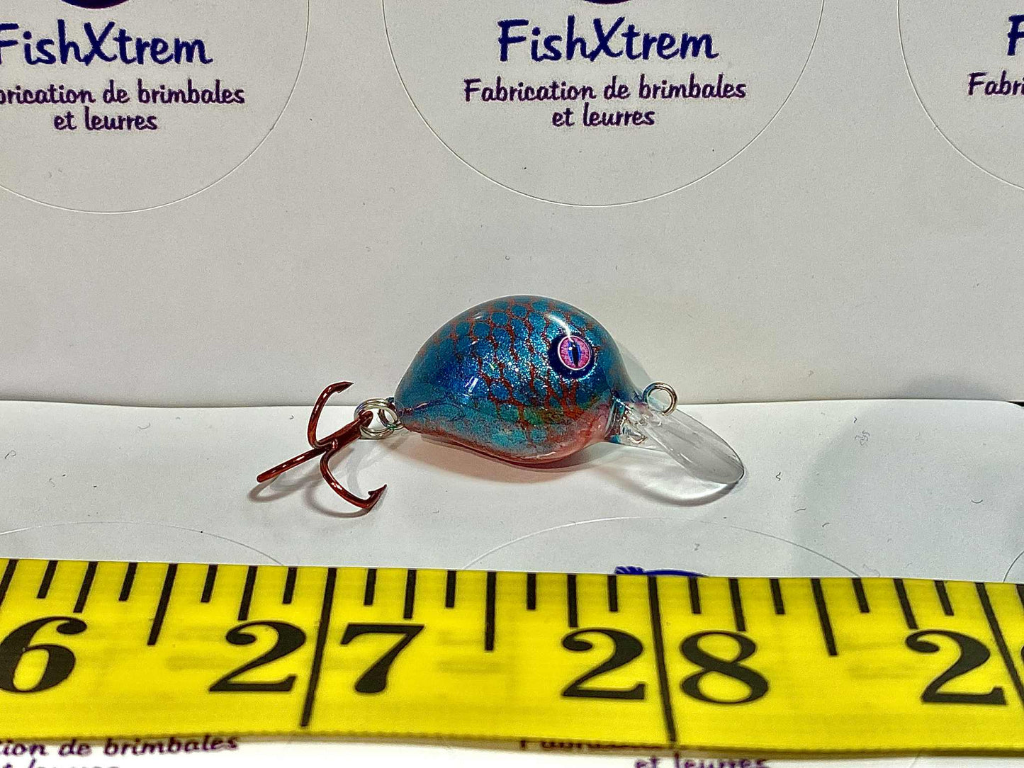 Z Bean