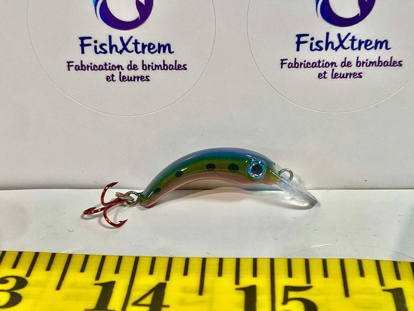 Grass Minnow