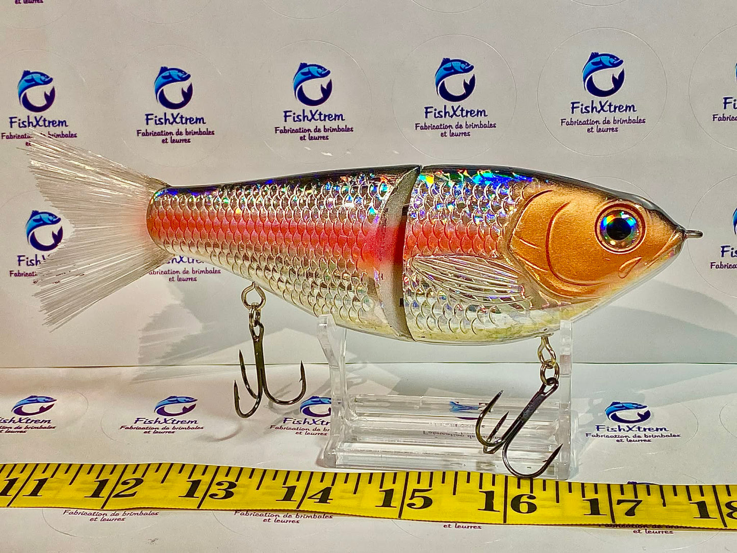 Big Belly Shad