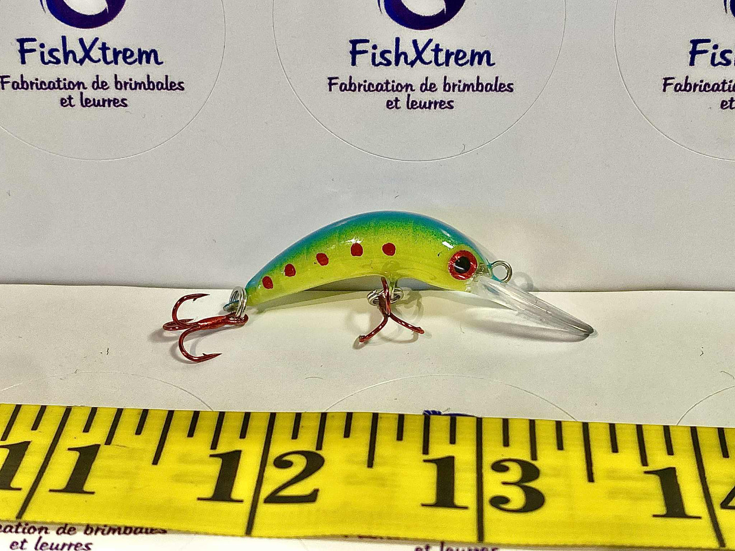 The Shrimp