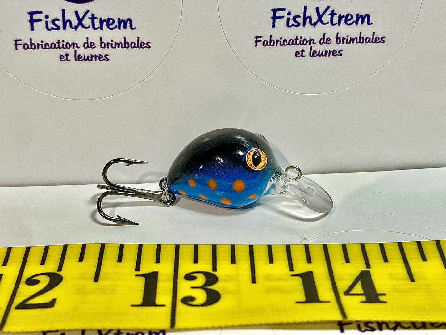 Z Bean