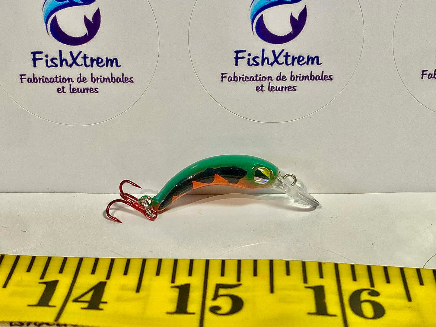 Grass Minnow