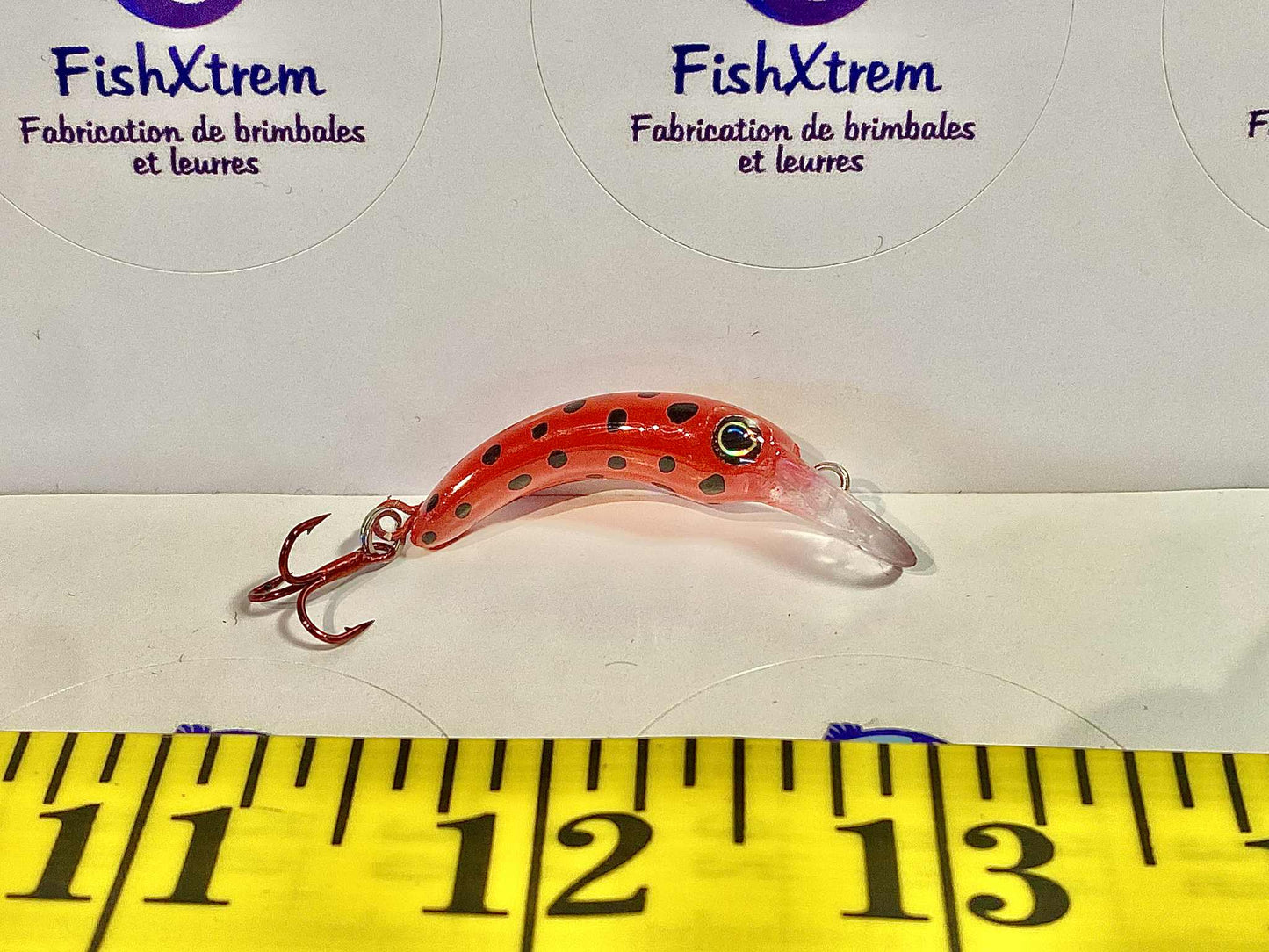 Grass Minnow