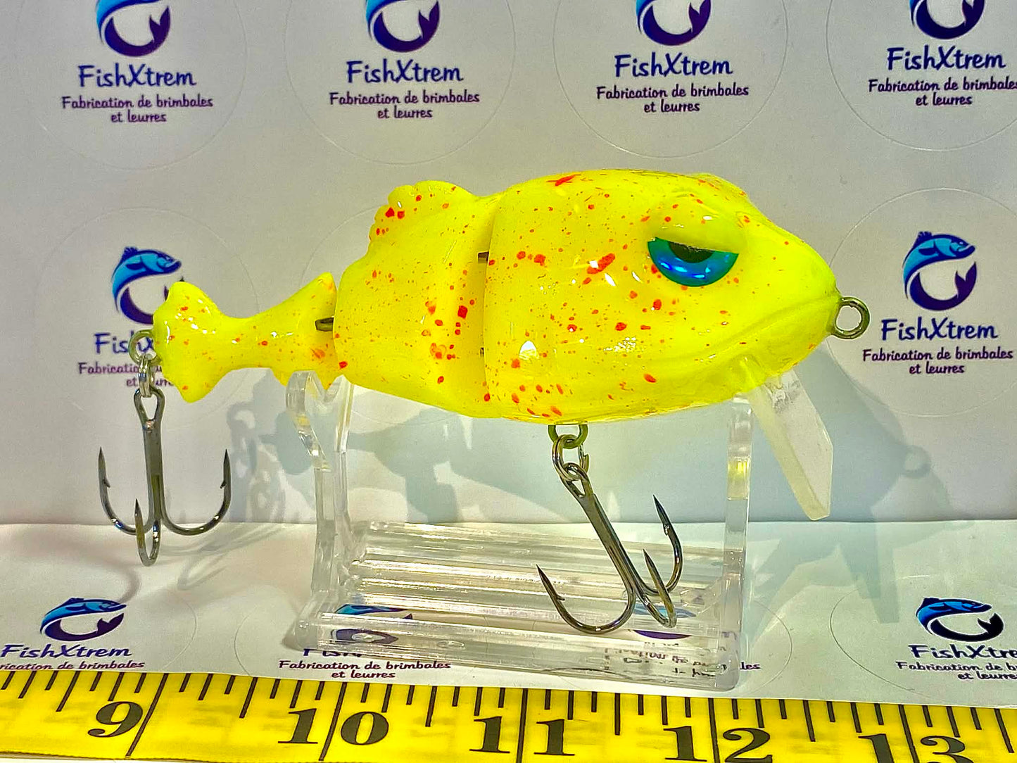 FrogFish