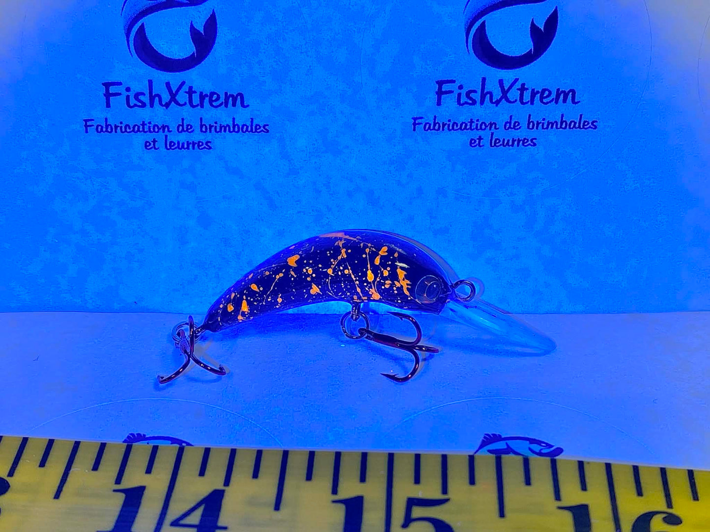 The Shrimp