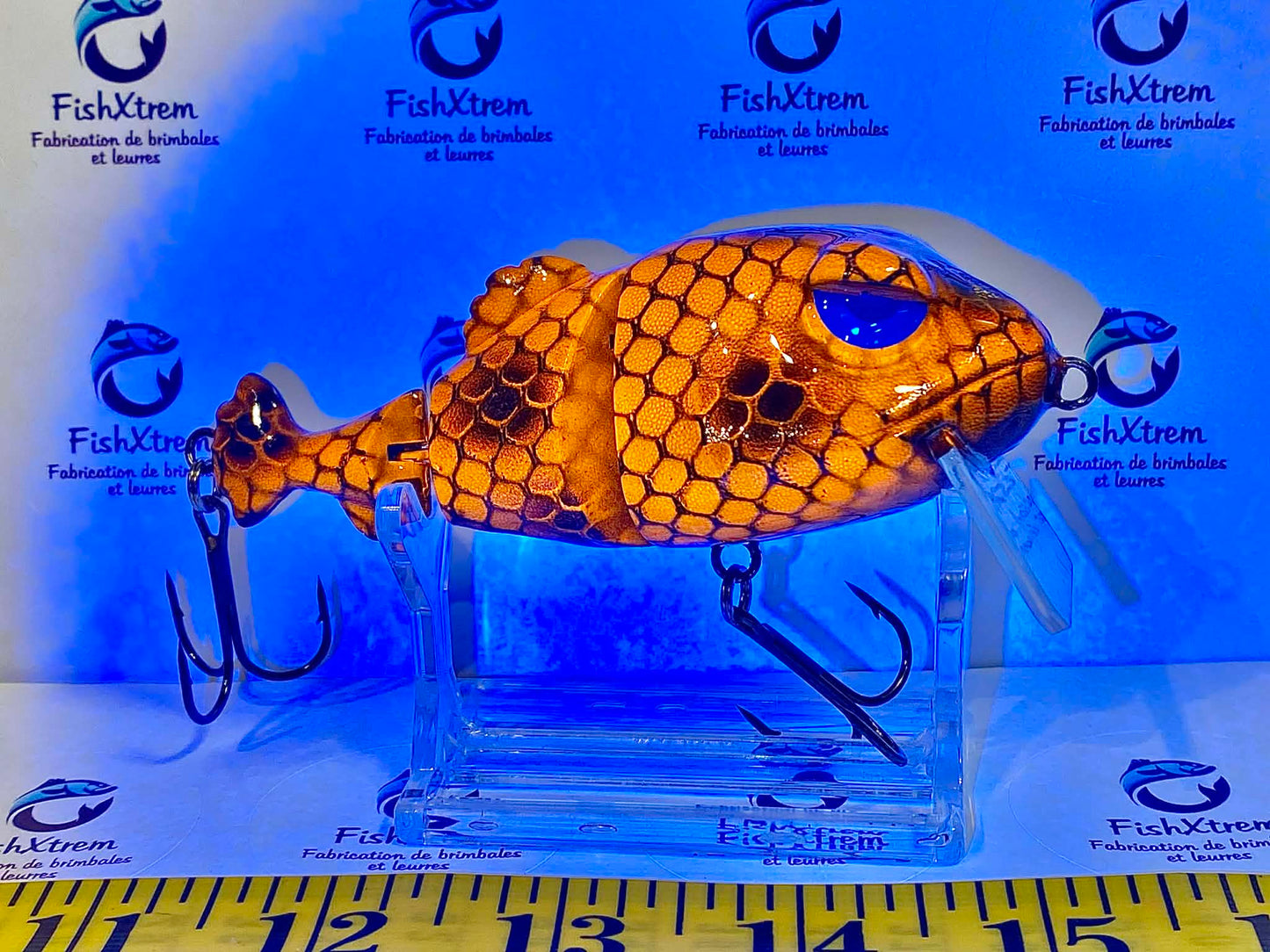 FrogFish