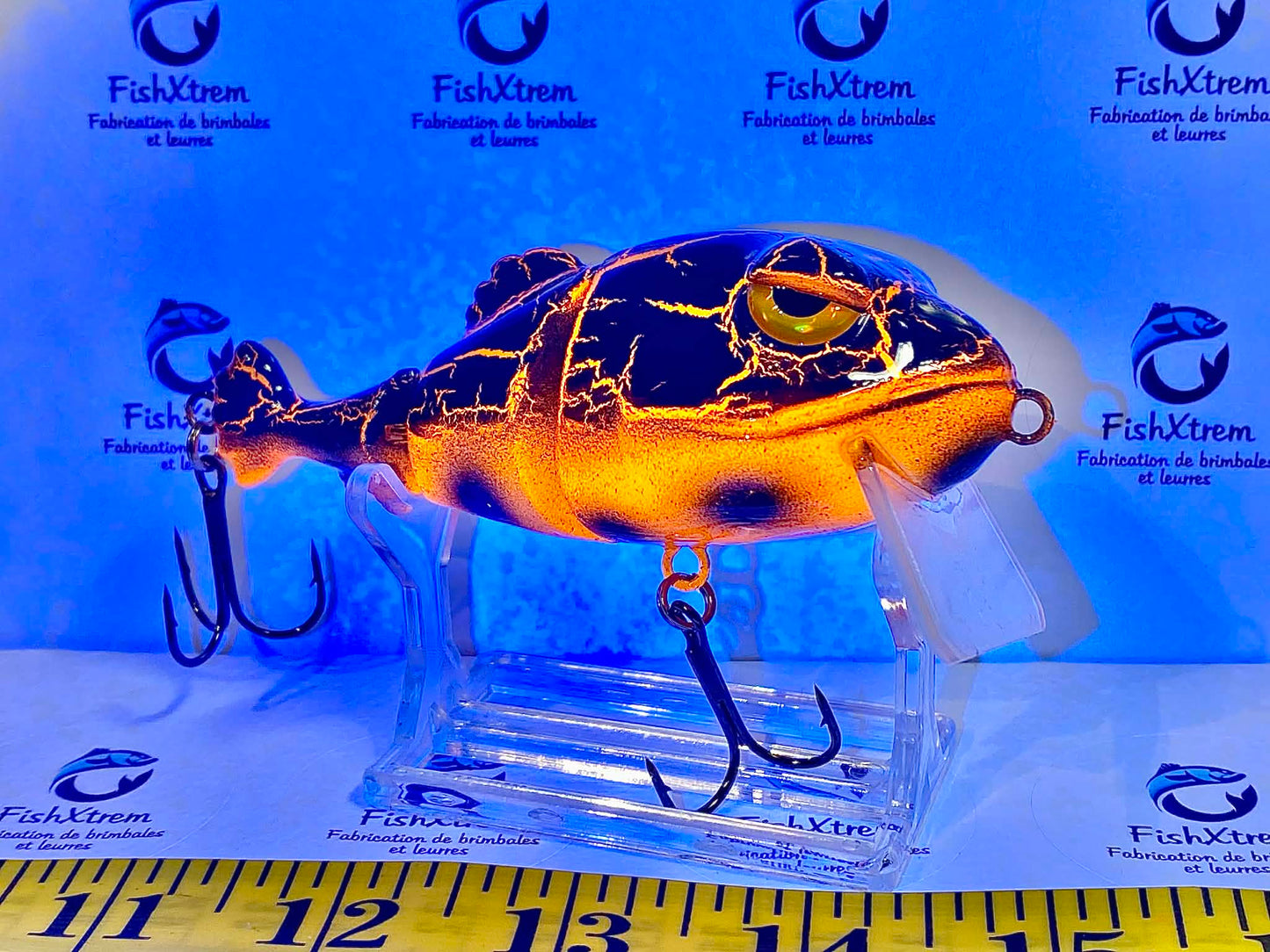 FrogFish